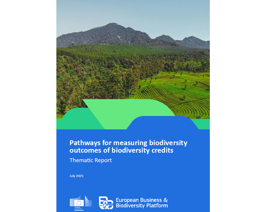 Pathways for measuring biodiversity outcomes of biodiversity credits