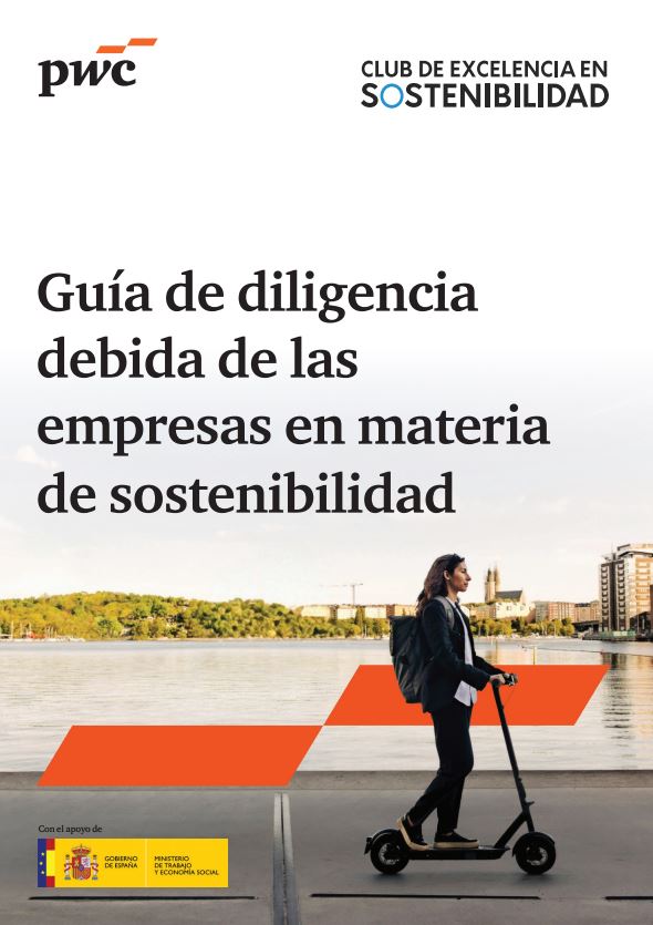 Corporate Sustainability Due Diligence Guide