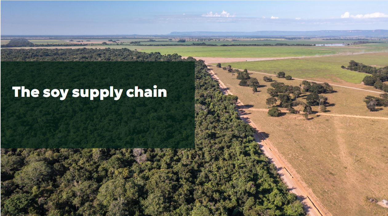 Soy Supply Chain: Global Growth, Risk Exposure, and Traceability Gaps
