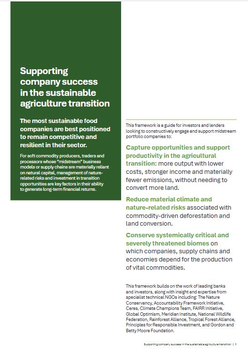 Supporting company success in the sustainable agriculture transition: The most sustainable food