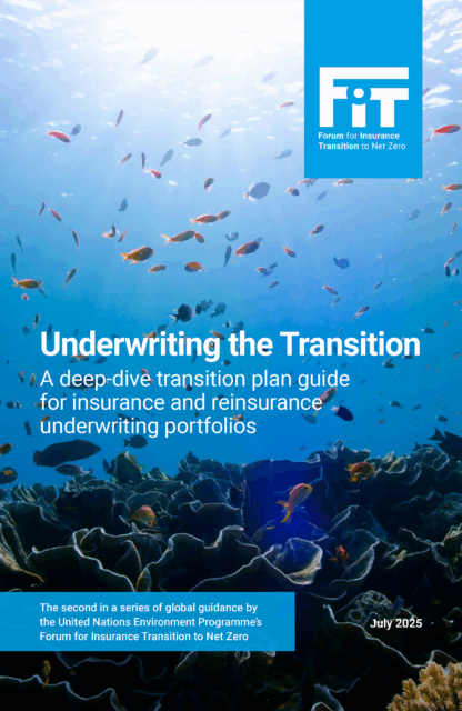 Underwriting the Transition: A deep-dive transition plan guide for insurance and reinsurance underwriting portfolios