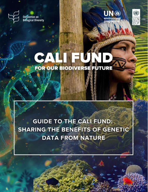 Publication of the first guide to the Cali Fund