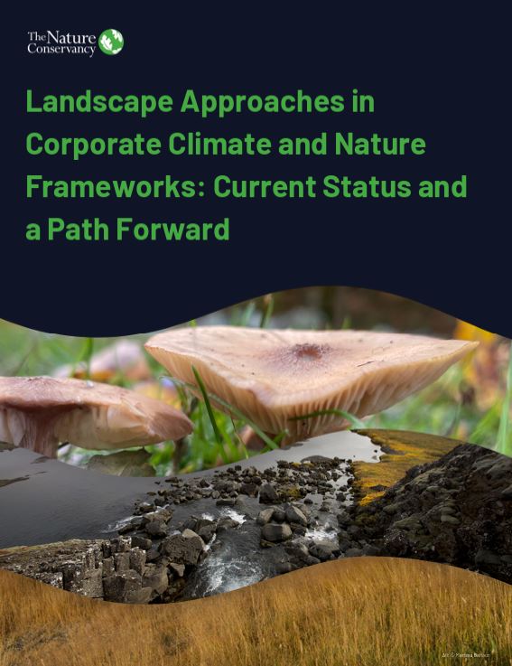 Landscape Approaches in Corporate Climate and Nature Frameworks: Current Status and a Path Forward