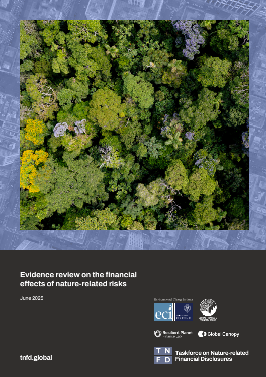Evidence review on the financial effects of nature-related risks