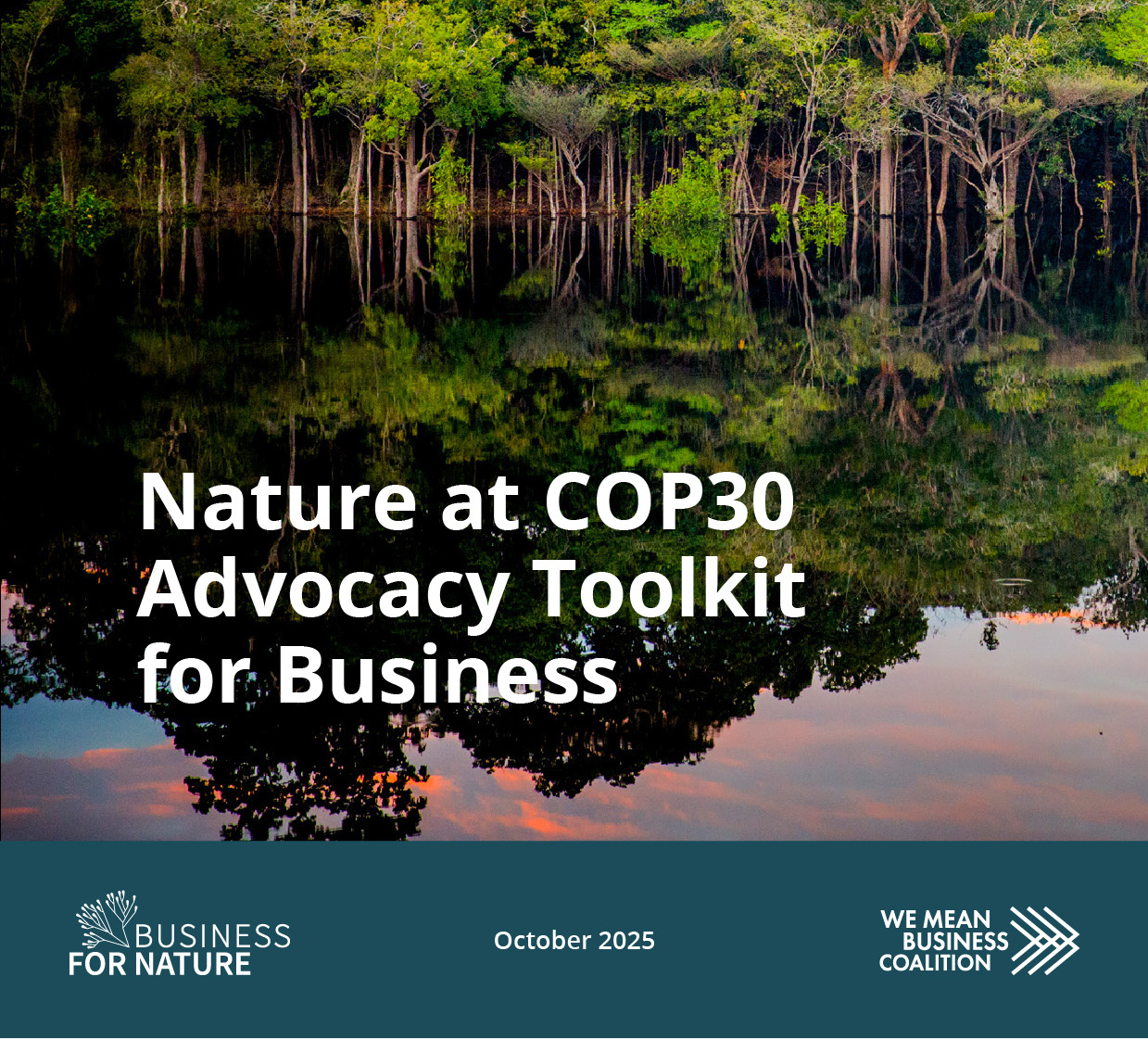 Nature at COP30 – Advocacy Toolkit for Business