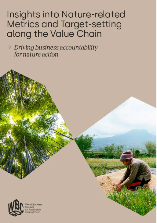 Insights into nature-related metrics and target-setting along the value chain