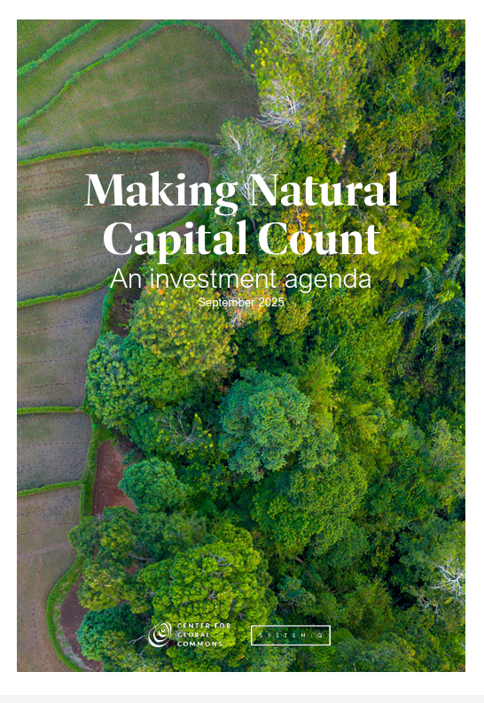Making Natural Capital Count. An investment agenda