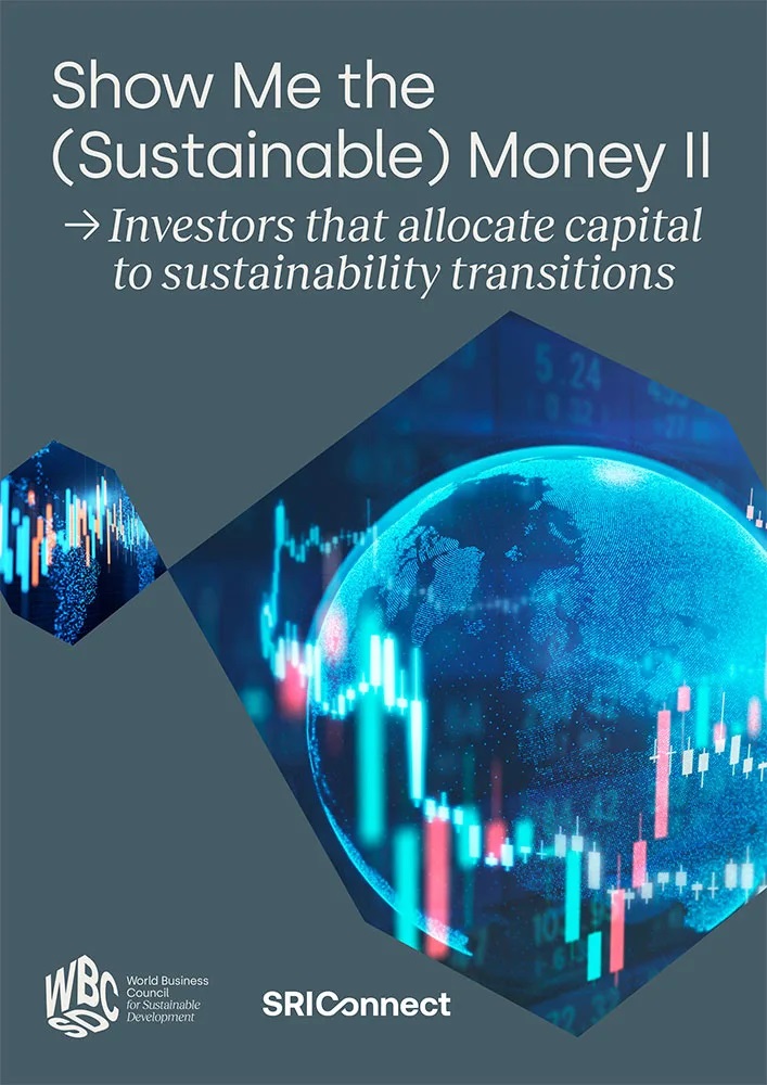 Show Me the (Sustainable) Money II. Investors that allocate capital to sustainability transitions
