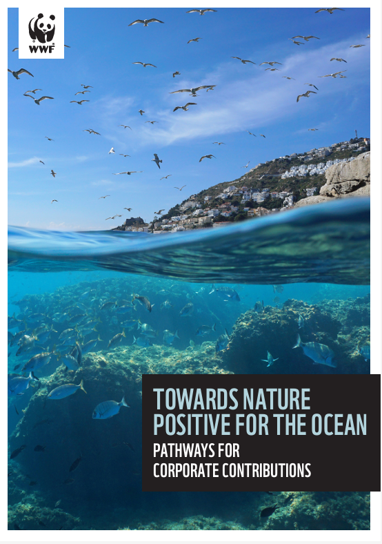 Towards Nature Positive for the Ocean: Pathways for Corporate Contributions