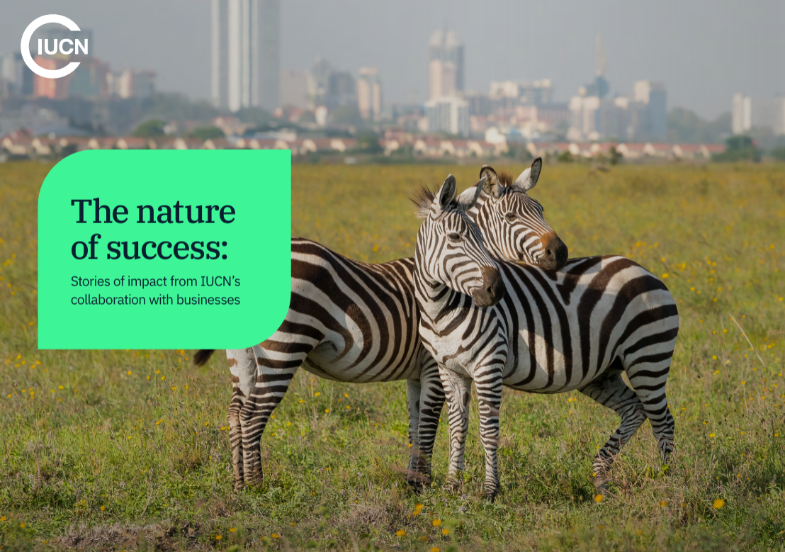 The nature of success: Stories of impact from IUCN’s collaboration with businesses