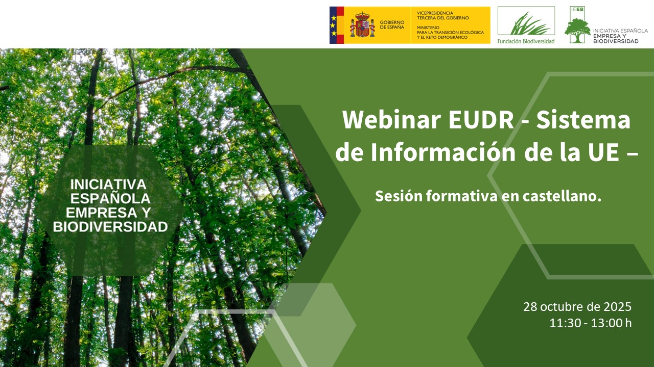 Sistema de Información de la UE: orientaciones sobre cómo presentar la declaración de diligencia debida exigida en el Reglamento EUDR