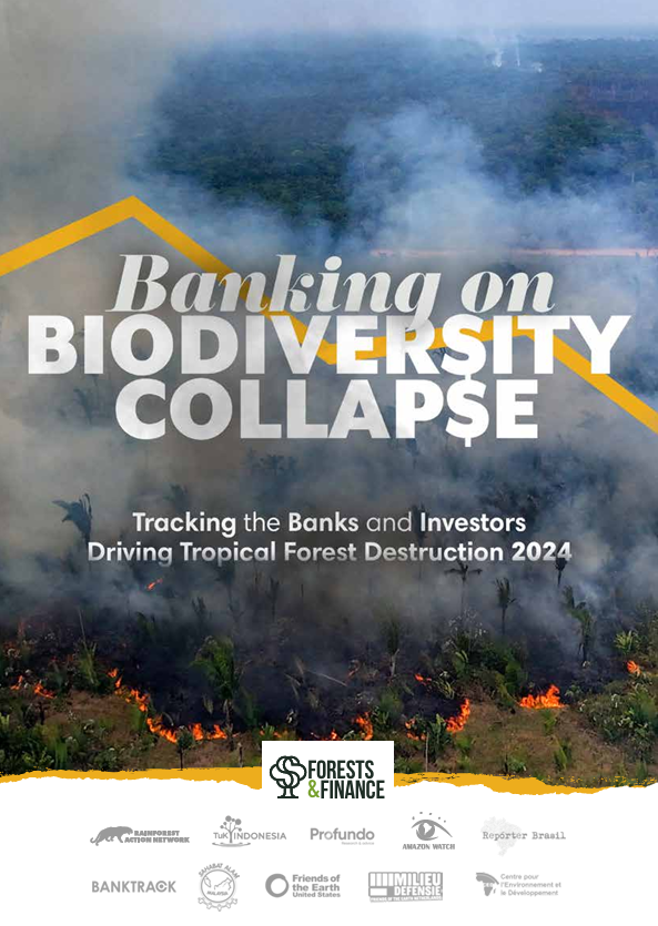 Banking on Biodiversity Collapse – Tracking the Banks and Investors Driving Tropical Forest Destruction 2024