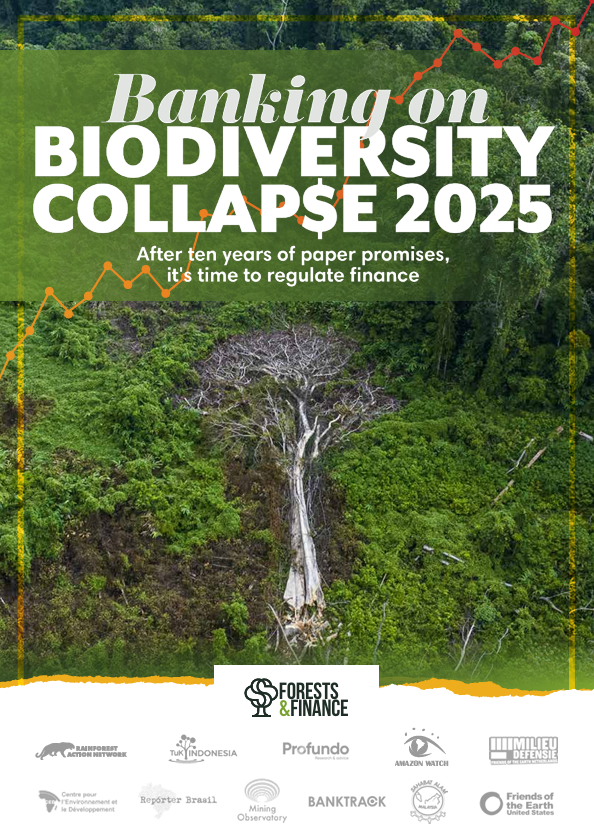 Banking on Biodiversity Collapse 2025 – After ten years of paper promises, it’s time to regulate finance