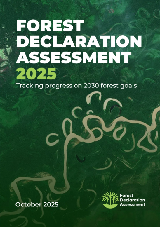 Forest Declaration Assessment 2025 – Tracking progress on 2030 forest goals