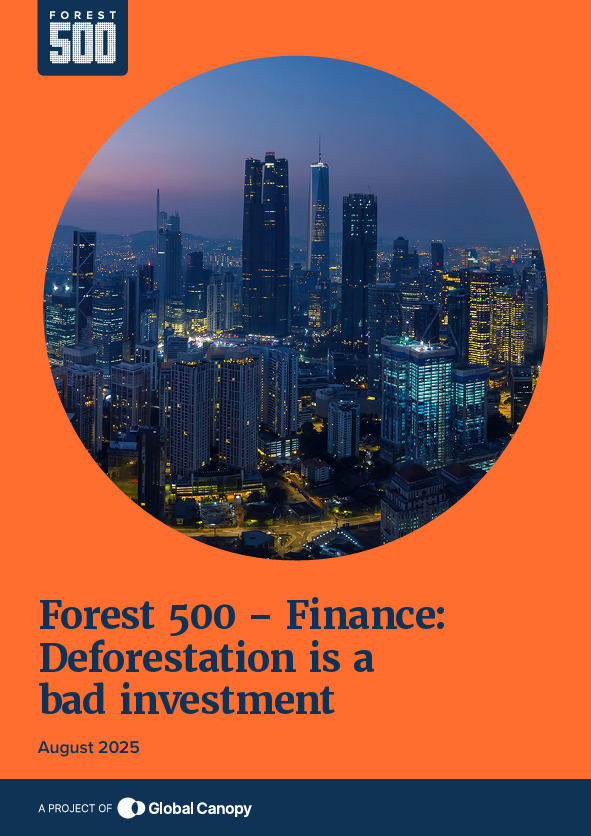 Forest 500 – Finance: Deforestation is a bad investment