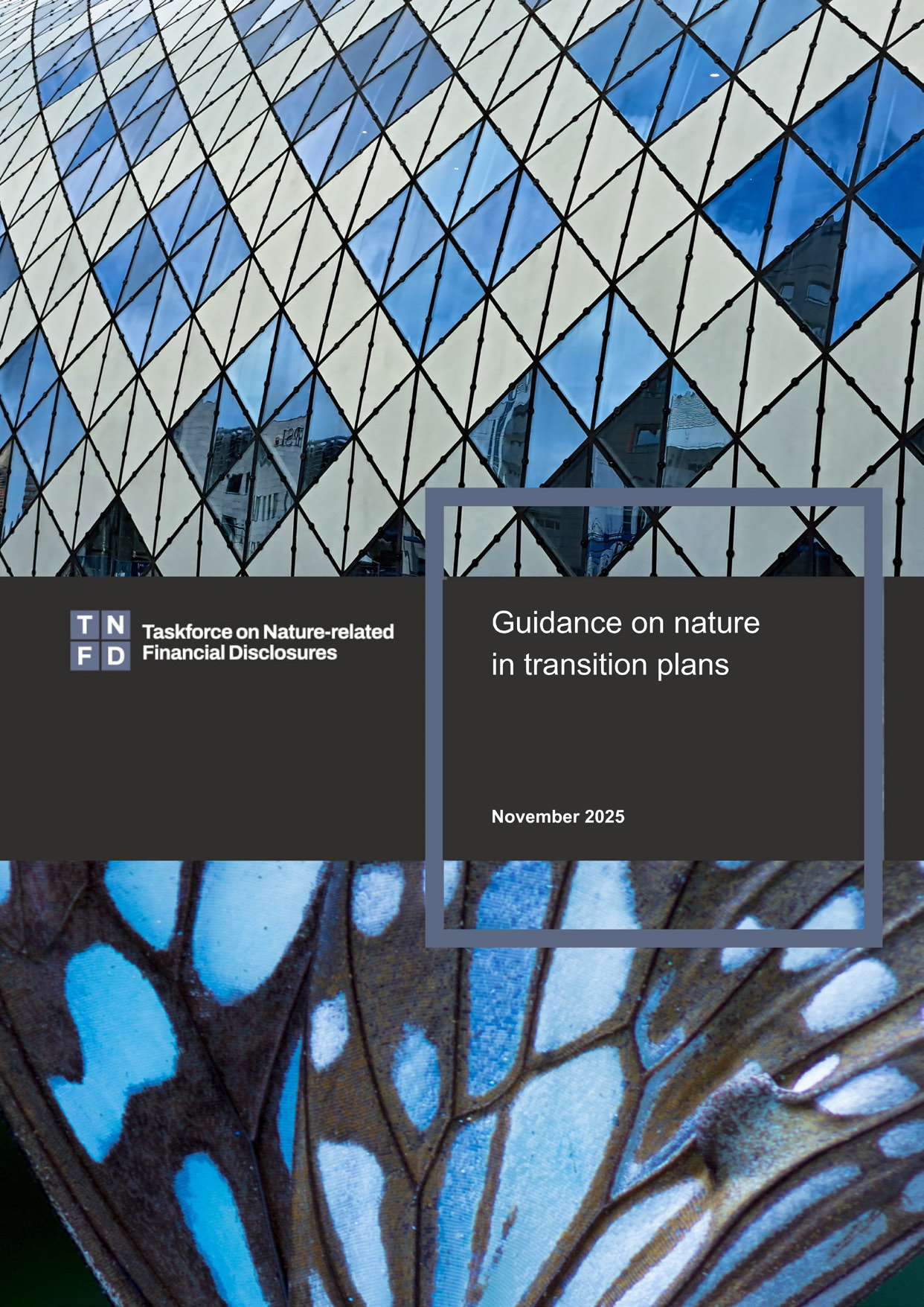 TNFD Guidance on Nature in Transition Plans
