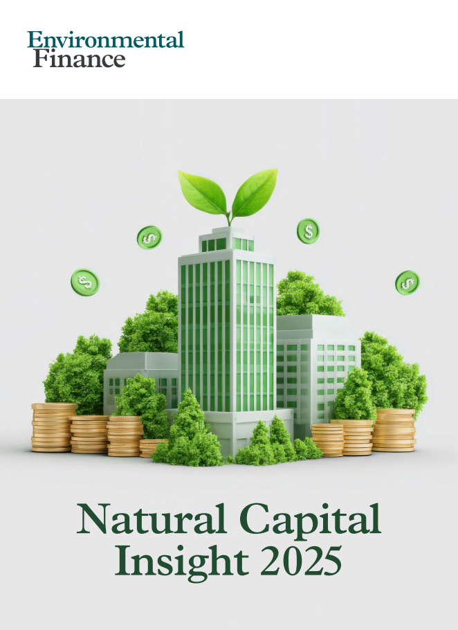 Natural Capital Insight 2025