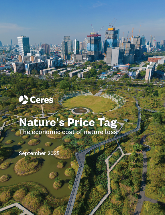 Nature´s Price Tag: The economic cost of nature loss
