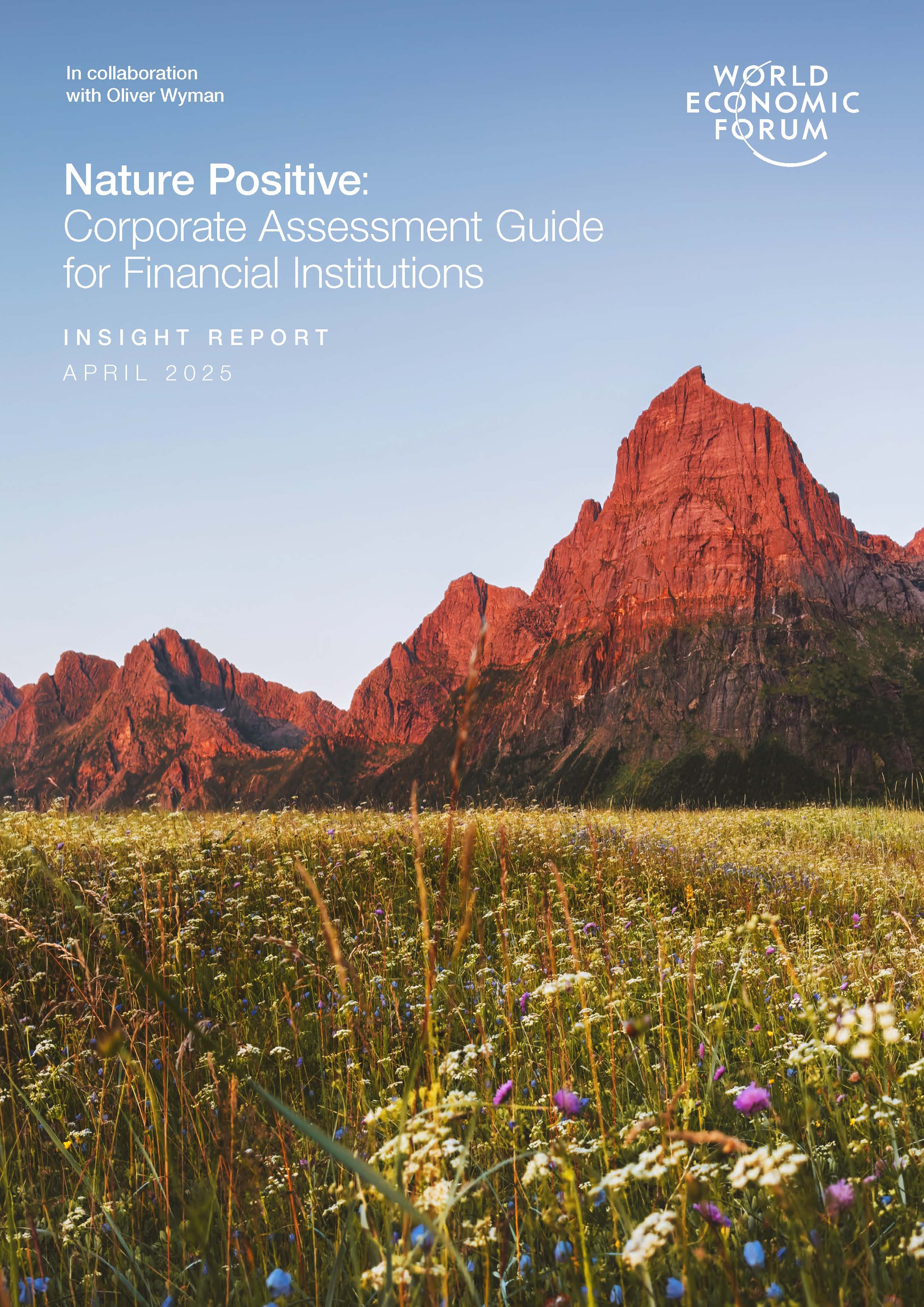 Nature Positive: Corporate Assessment Guide for Financial Institutions