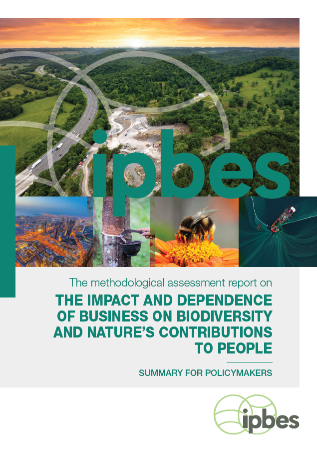 The Business and Biodiversity Assessment 