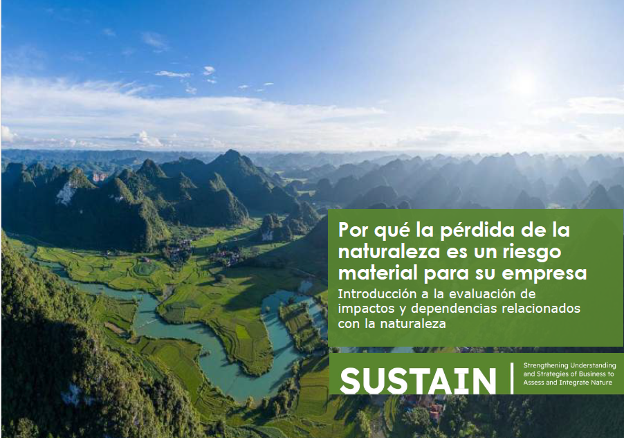 Por qué la pérdida de la naturaleza es un riesgo material para su empresa