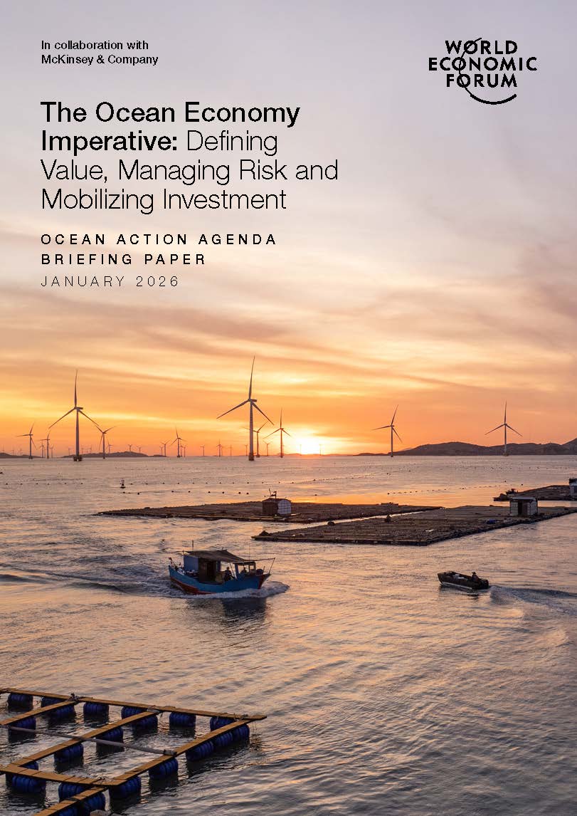 The Ocean Economy Imperative: Defining Value, Managing Risk and Mobilizing Investment