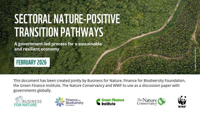 Sectoral Nature-Positive Transition Pathways – Finance for Biodiversity