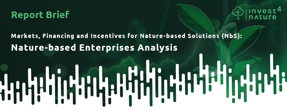 Invest4Nature Policy Brief: Nature-based Enterprises Analysis