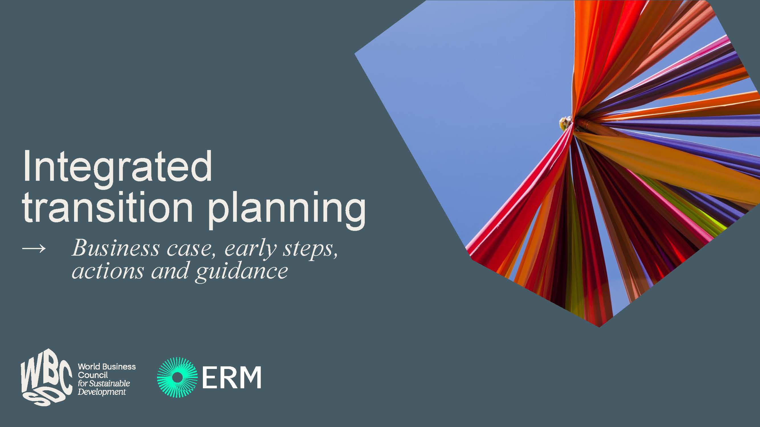 Integrated Transition Planning: A Short Introduction