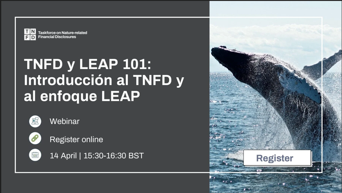 TNFD y LEAP 101: Introducción al TNFD y al enfoque LEAP