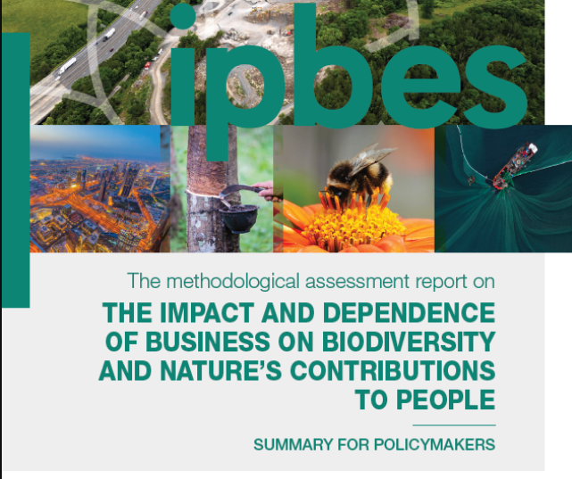 Dialogue on the Business and Biodiversity Assessment Report and promoting the use of IPBES products in decision-making