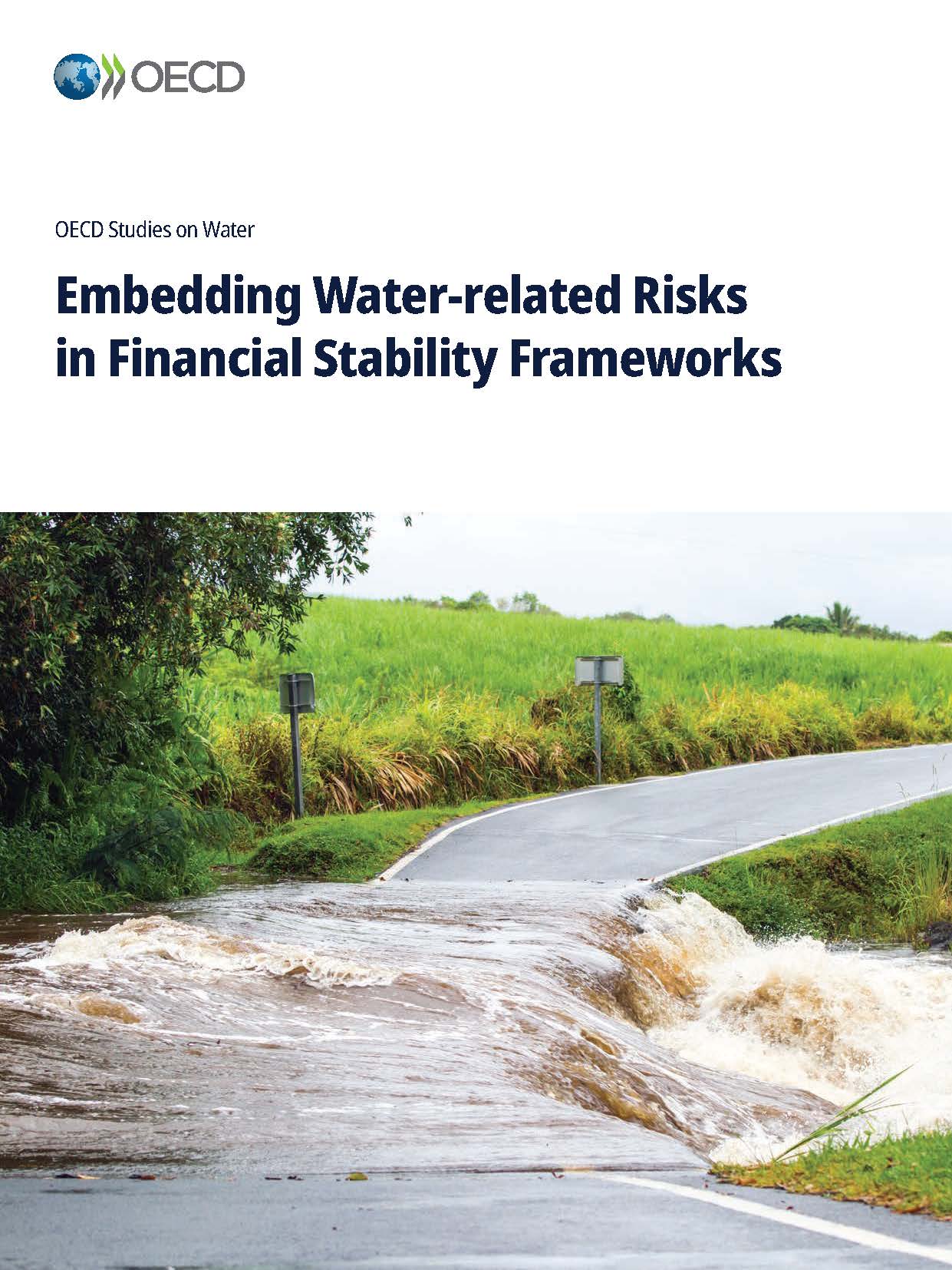 Embedding Water-related Risks in Financial Stability Frameworks