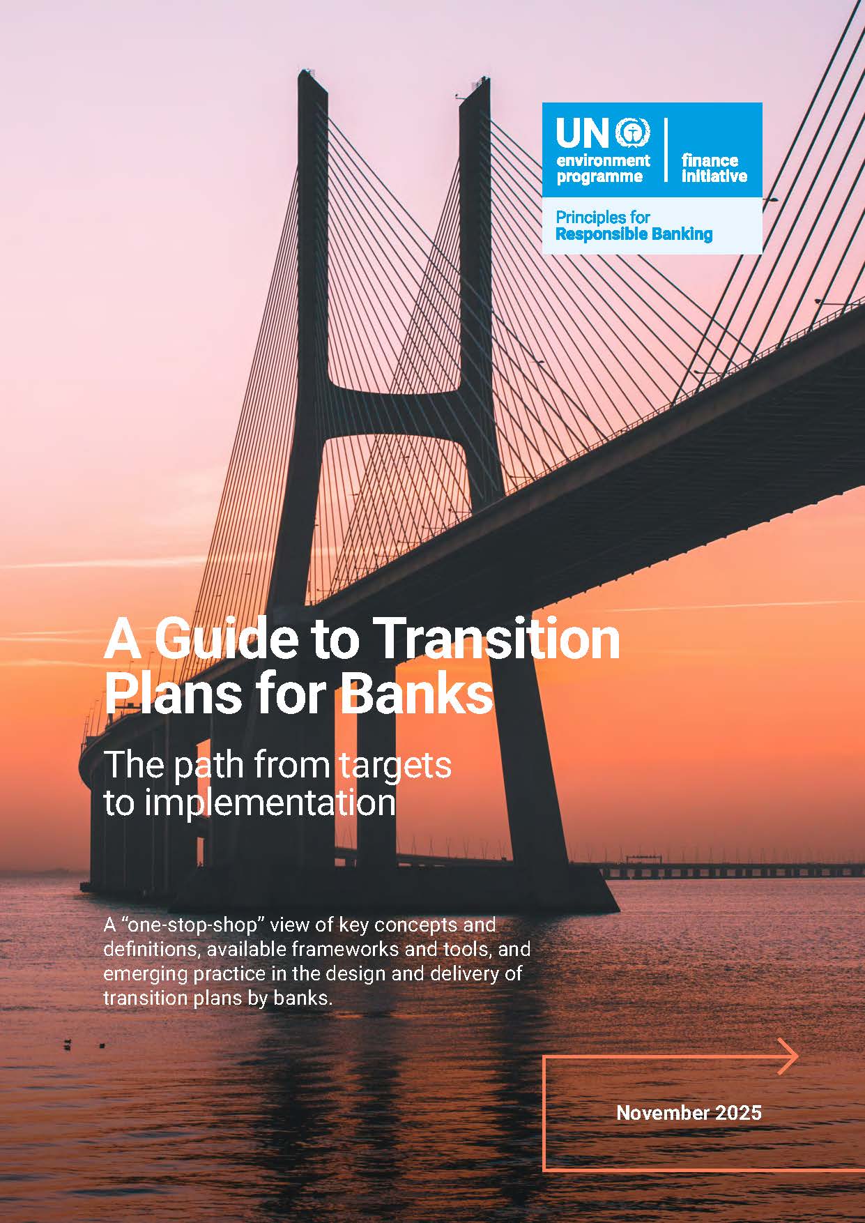 A Guide to Transition Plans for Banks