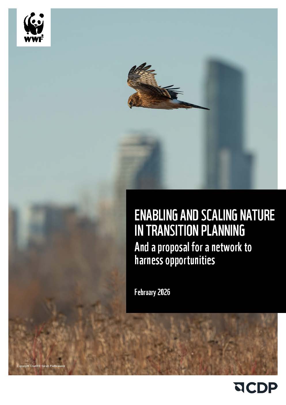 ENABLING AND SCALING NATURE IN TRANSITION PLANNING