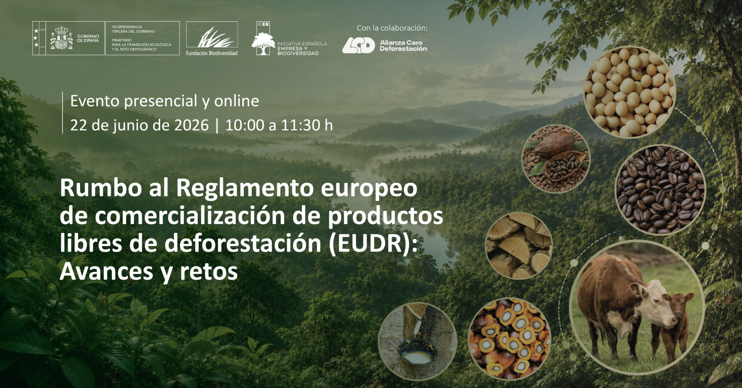 Rumbo al Reglamento europeo de comercialización de productos libres de deforestación (EUDR): Avances y retos