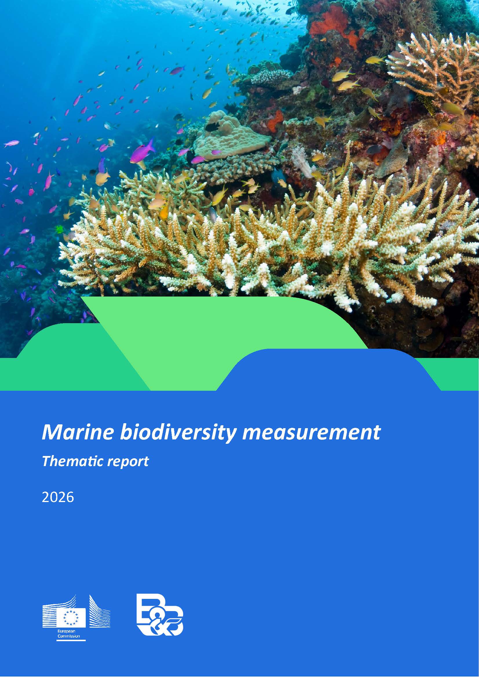 Marine Biodiversity Measurement Thematic Report 2026