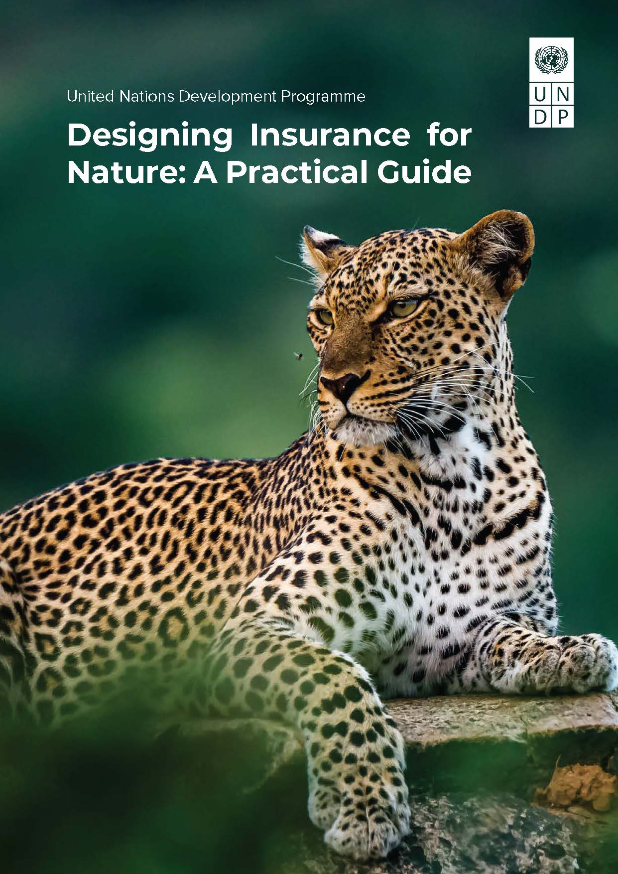 Designing Insurance for Nature: A Practical Guide