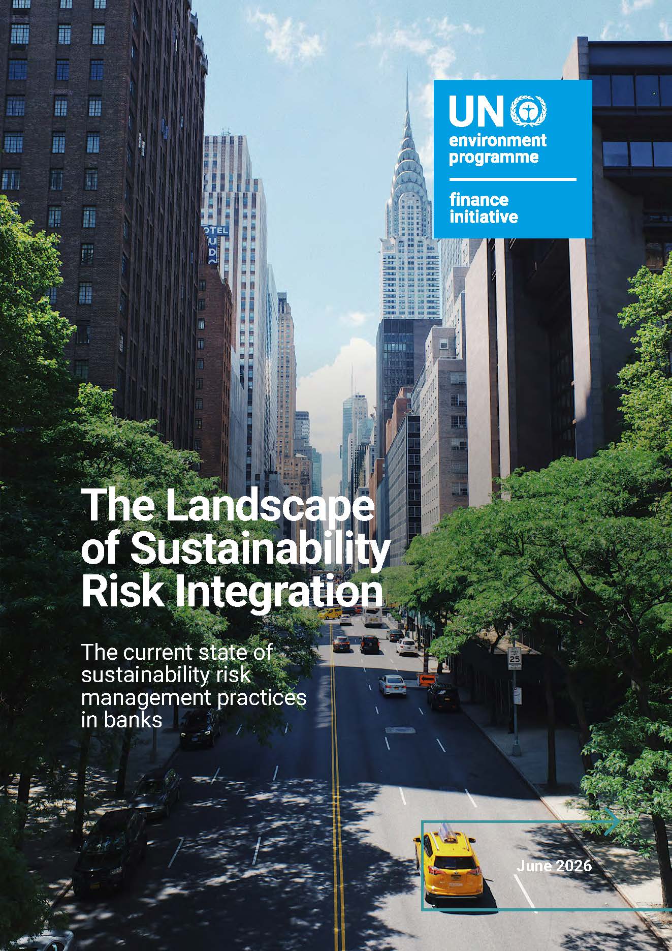 The Landscape of Sustainability Risk Integration