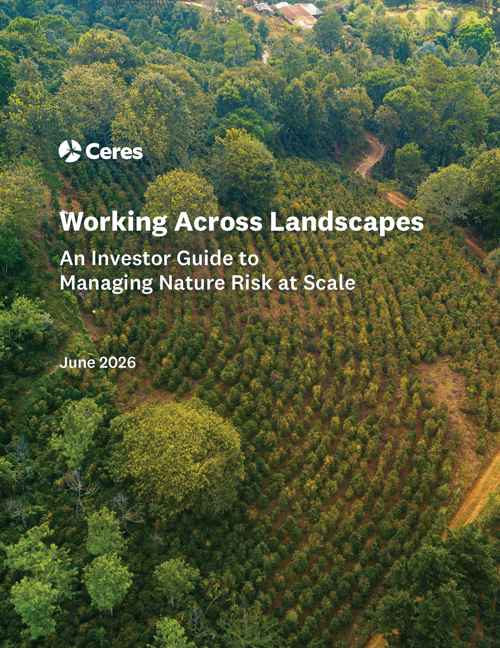 Working Across Landscapes: An Investor Guide to Managing Nature Risk at Scale