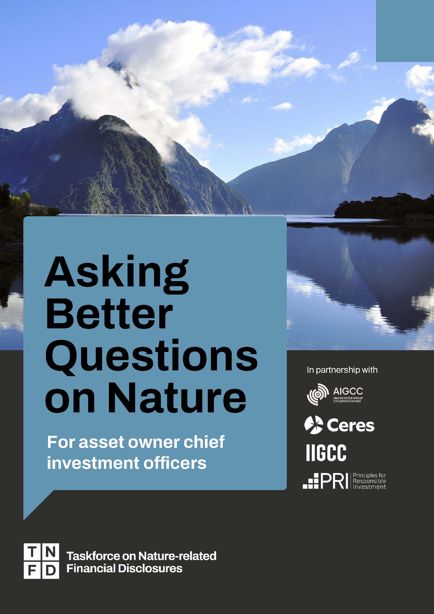 Asking better questions on nature for asset owner chief investment officers