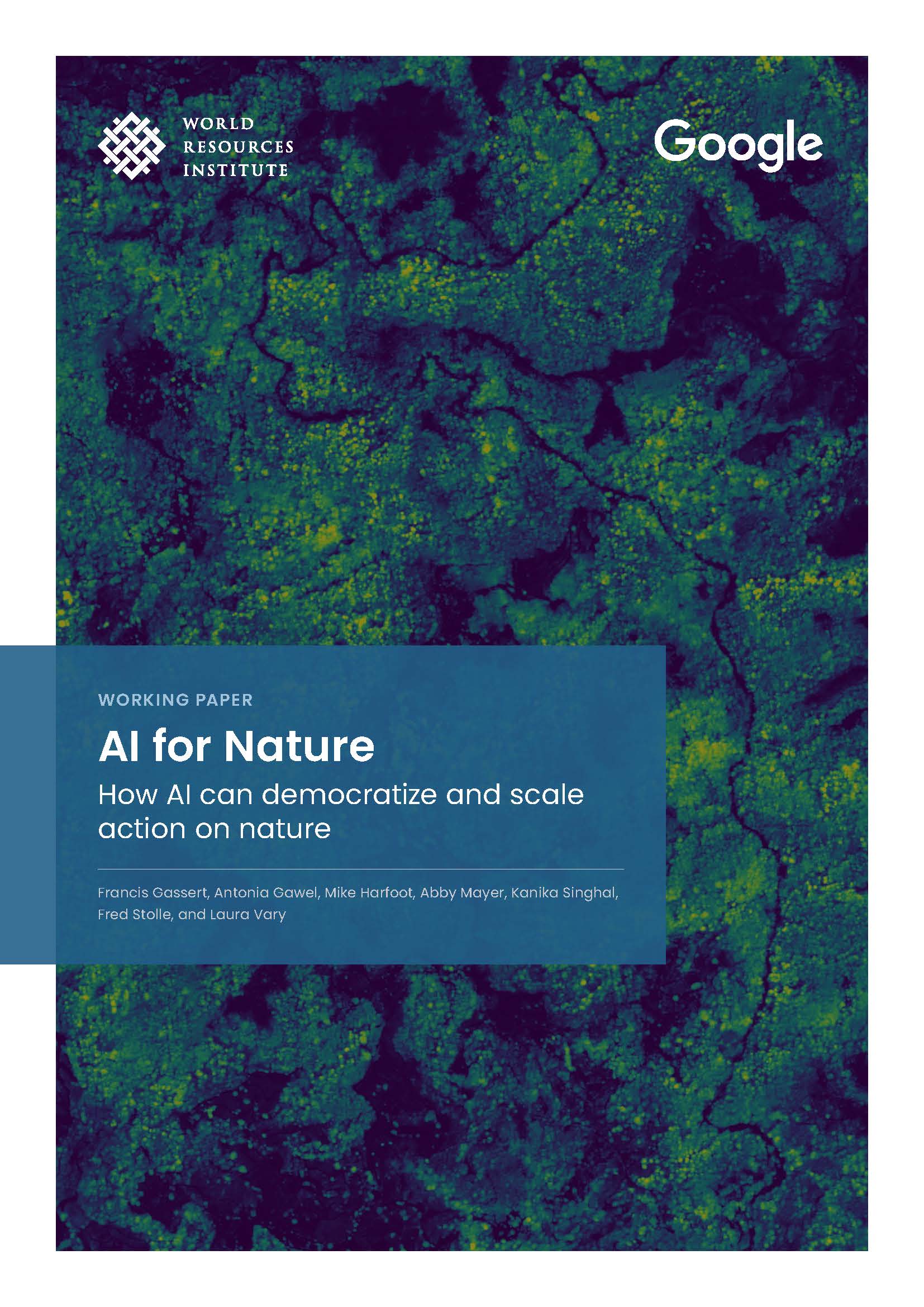 AI for Nature. How AI can democratize and scale action on nature
