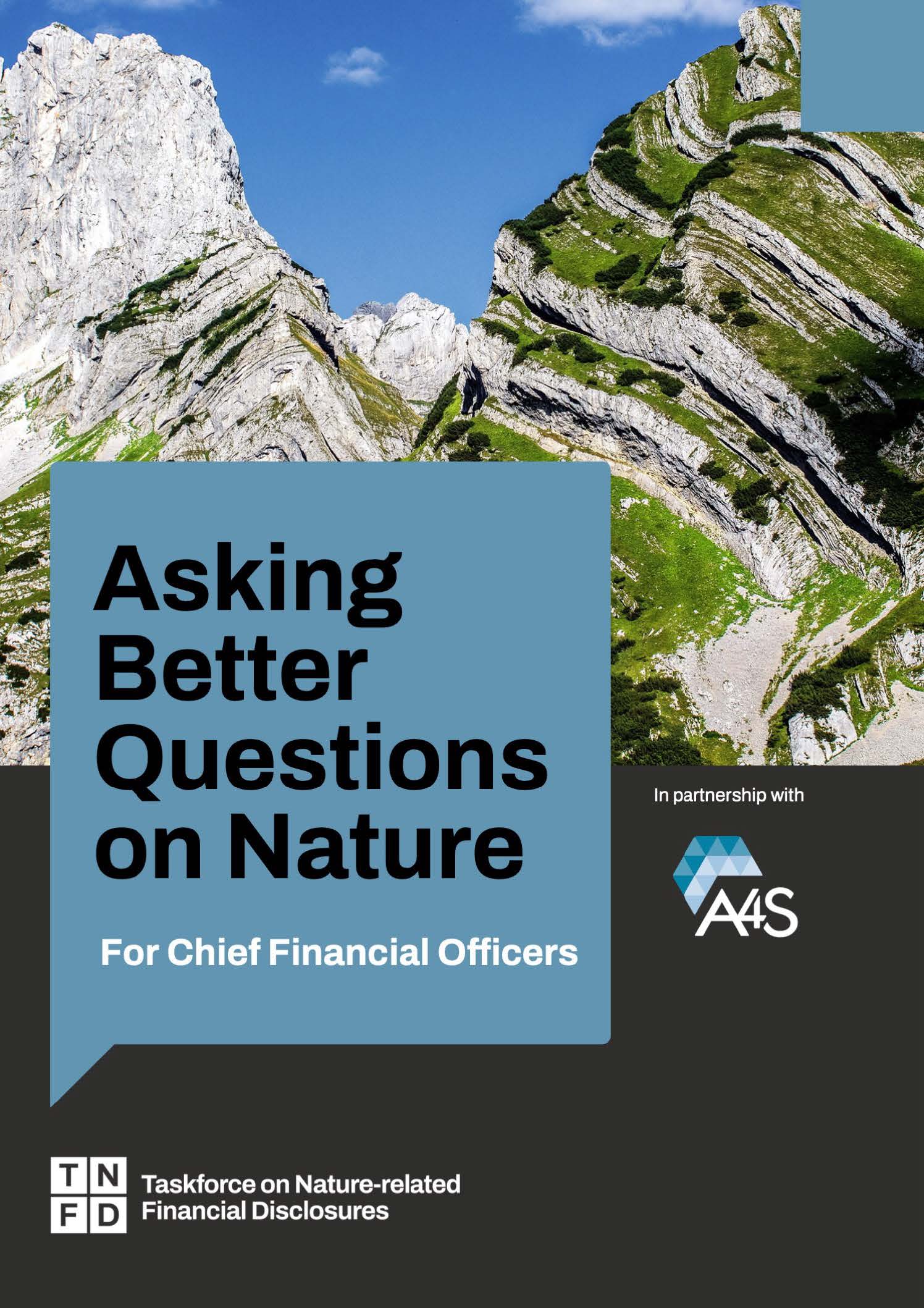 Asking better questions on nature for chief financial officers