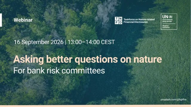 Asking better questions on nature for bank risk committees