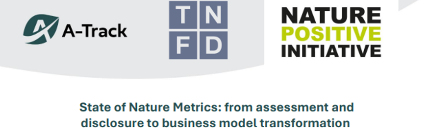 From Metrics to Transformation: Join the Conversation on Nature-Positive Business Models Ahead of COP17