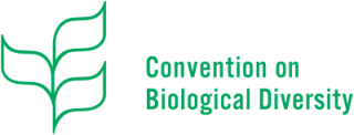 Enabling the private sector to take action on biodiversity: lessons from the IPBES Business and Biodiversity Assessment