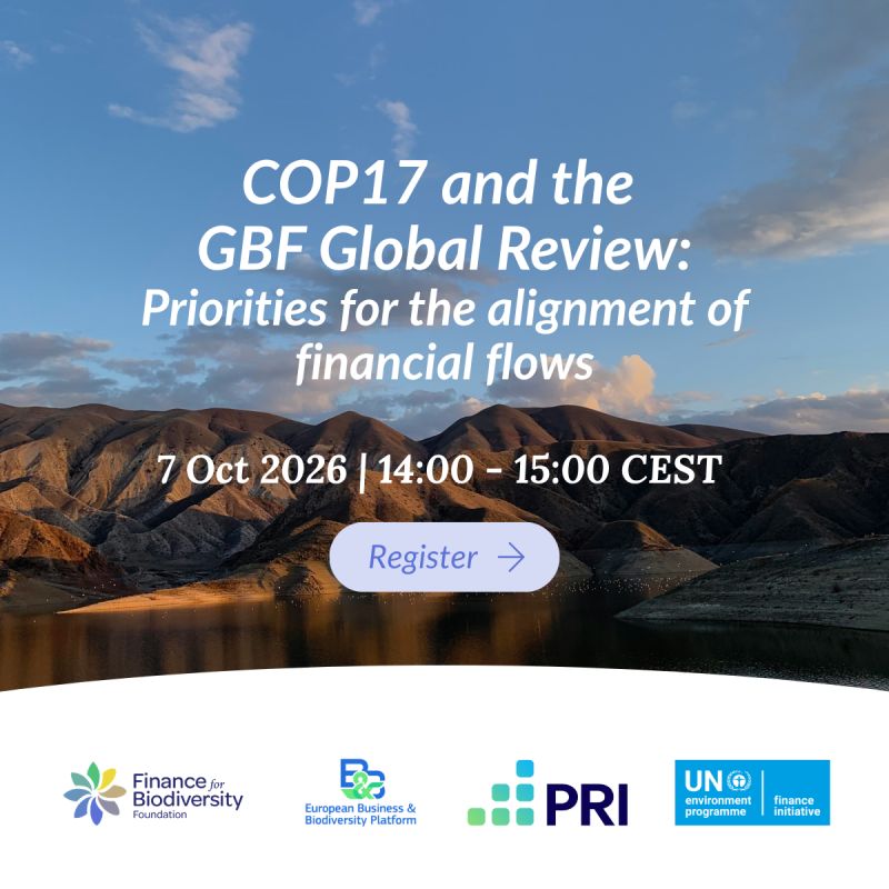 COP17 and the GBF Global Review: Priorities for the alignment of financial flows