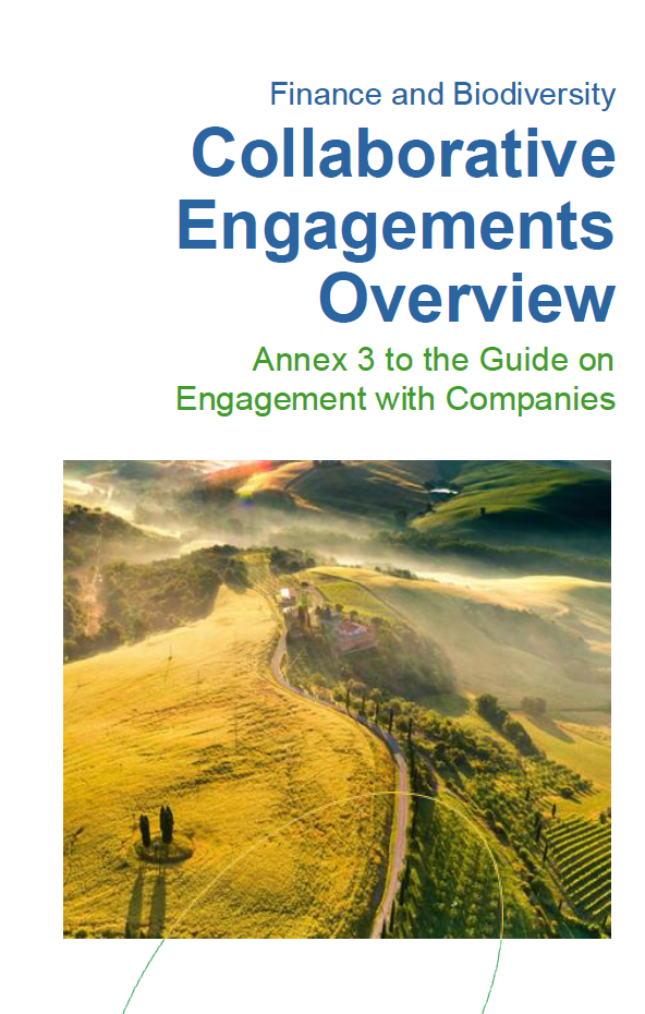 Fifth update of the Collaborative Engagements Overview