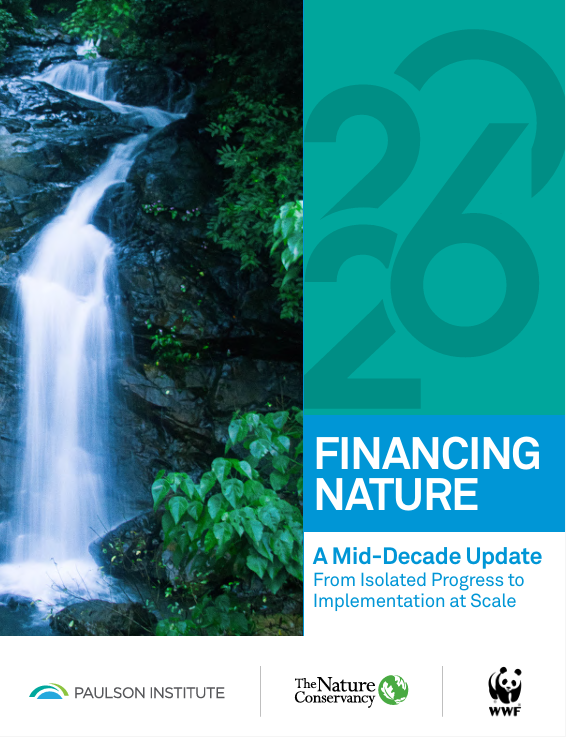 FINANCING NATURE: A Mid-Decade Update From Isolated Progress to Implementation at Scale
