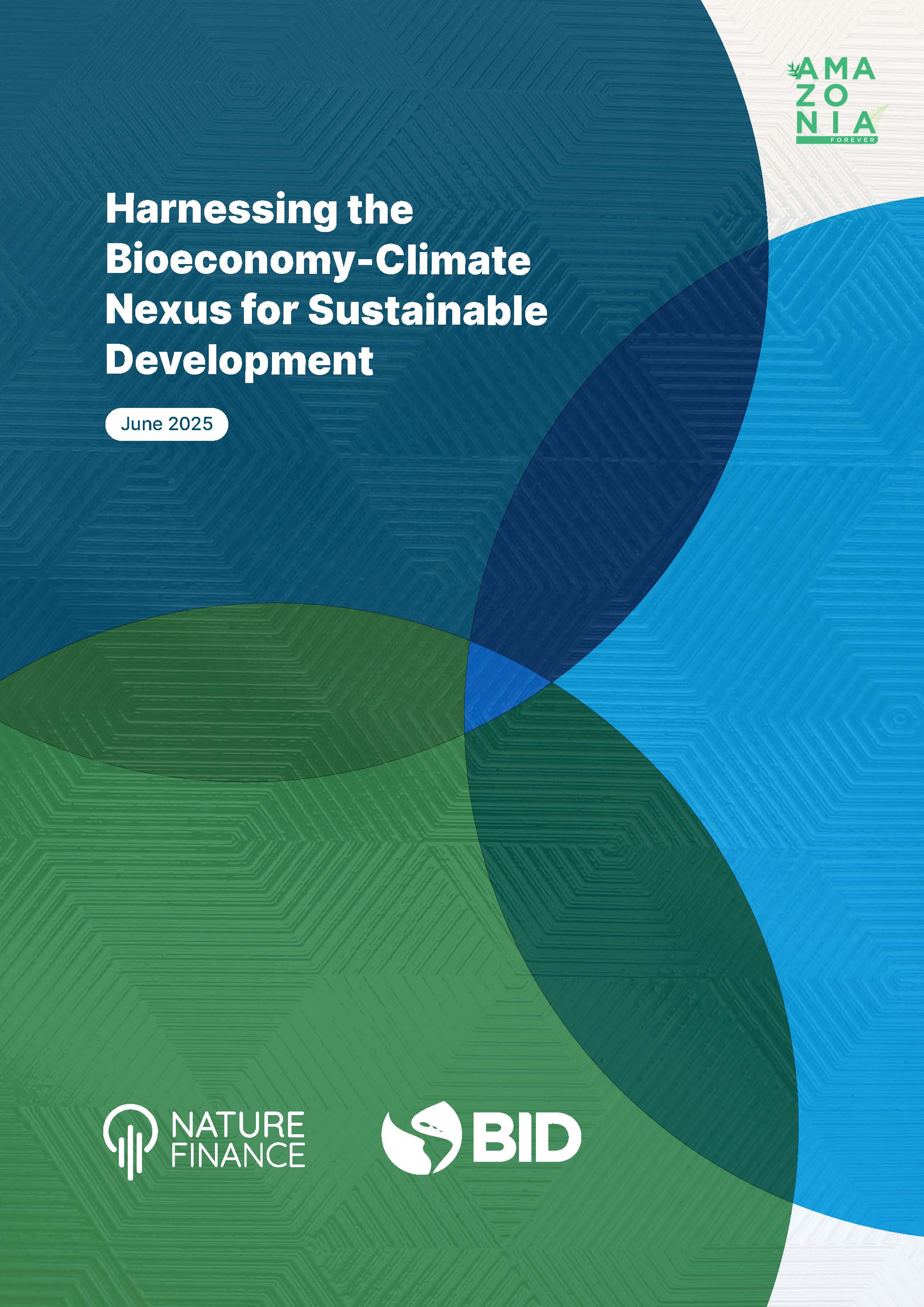 Harnessing the bioeconomy-climate nexus for sustainable development