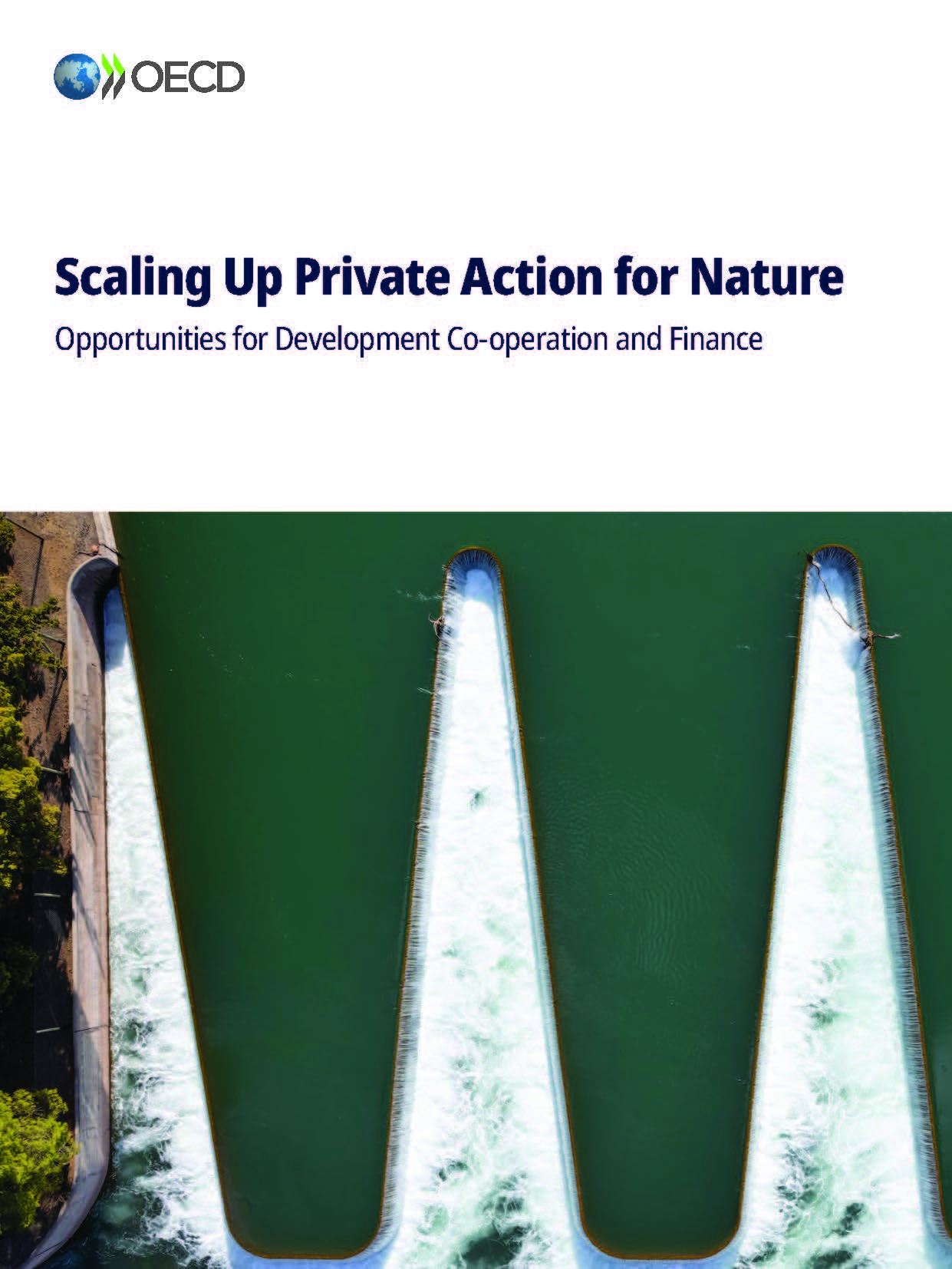 Scaling Up Private Action for Nature